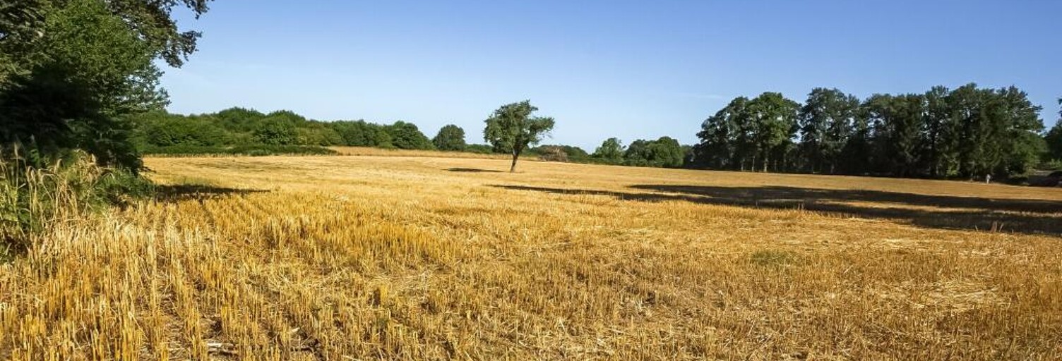 Terrain  14623 m² à vendre à Saint-Maurice-la-Souterraine (23300)