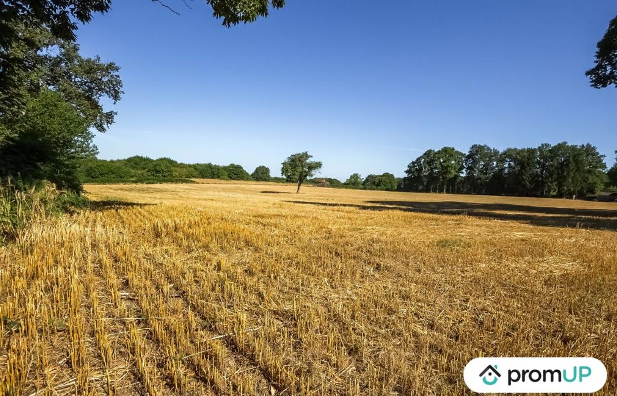 terrain  pièces 14623 m2 à vendre à Saint-Maurice-la-Souterraine (23300)