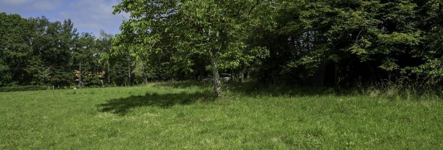 Terrain  5990 m² à vendre à Saint-Junien (87200)