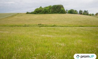 Photo N° 4