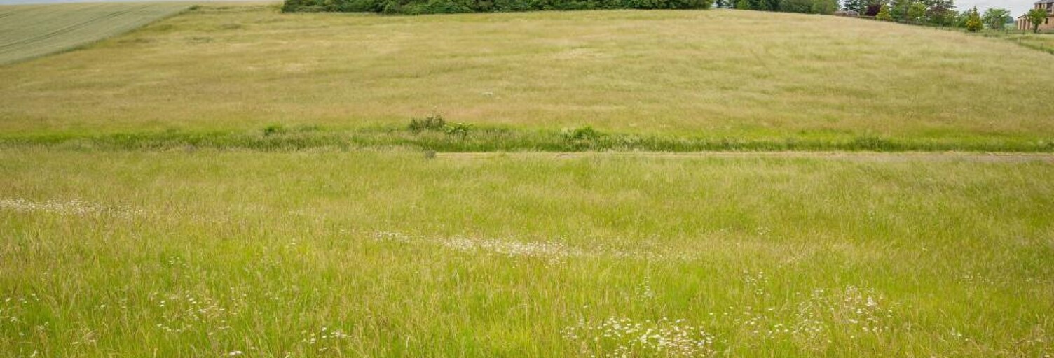 Terrain  1340 m² à vendre à Ham-les-Moines (08090)