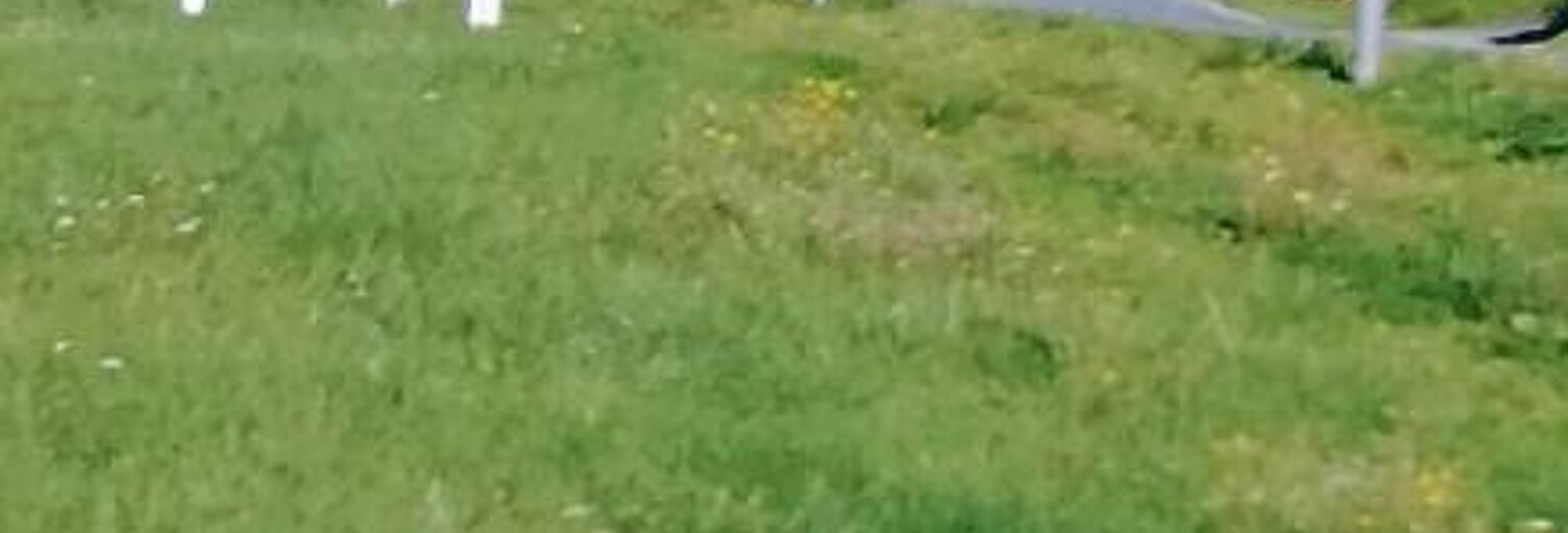 Terrain  993 m² à vendre à Le Pêchereau (36200)