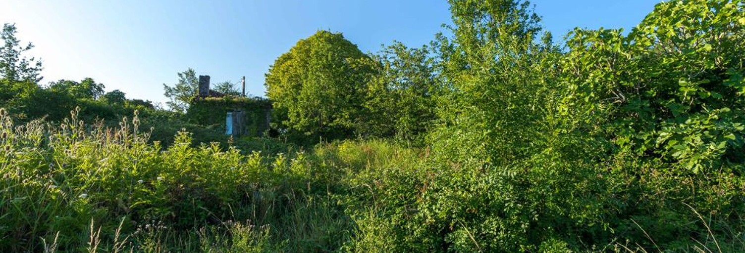 Terrain  11000 m² à vendre à Clairac (47320)