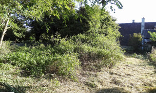 Photo N° 4