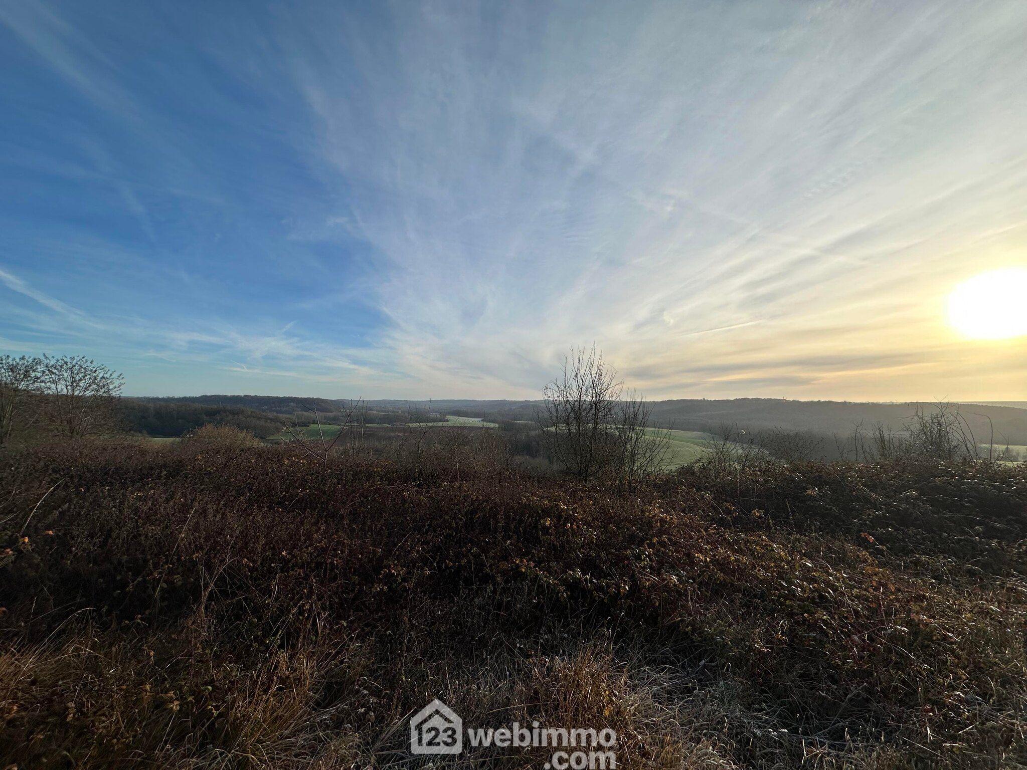 Photo Terrain constructible - 4478m² - Monthenault image 2/4