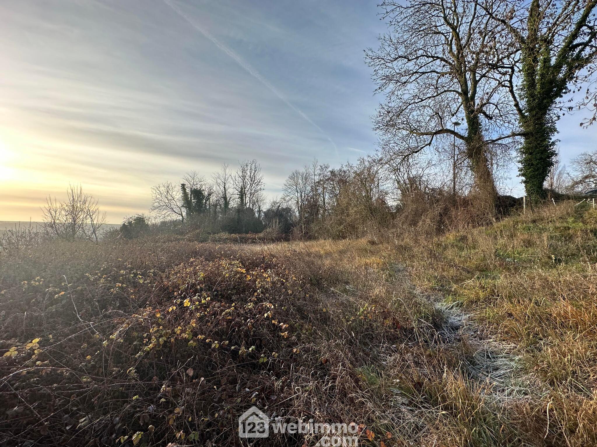 Photo Terrain constructible - 4478m² - Monthenault image 3/4
