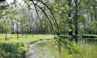 Photo N° 5