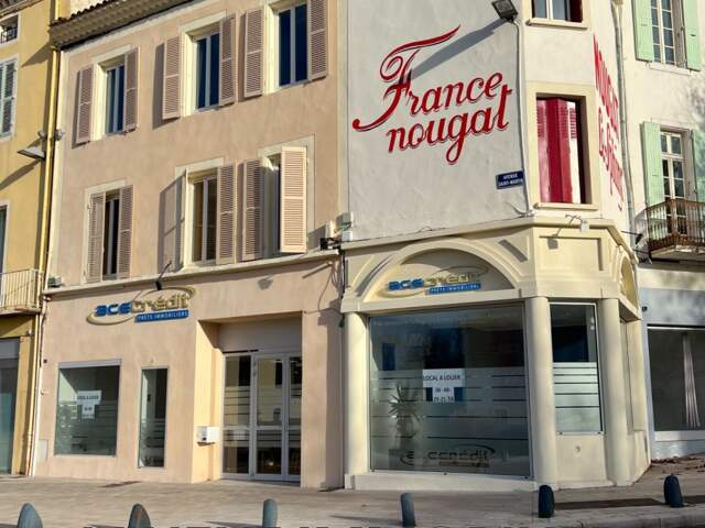 professionnel local commercial — photo du bien