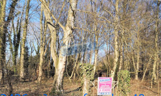 Terrain  3426 m² à vendre à Aubigny-en-Artois (62690)