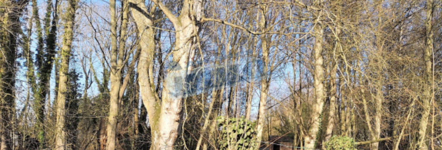 Terrain  3426 m² à vendre à Aubigny-en-Artois (62690)