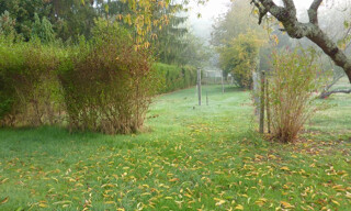 Photo N° 4