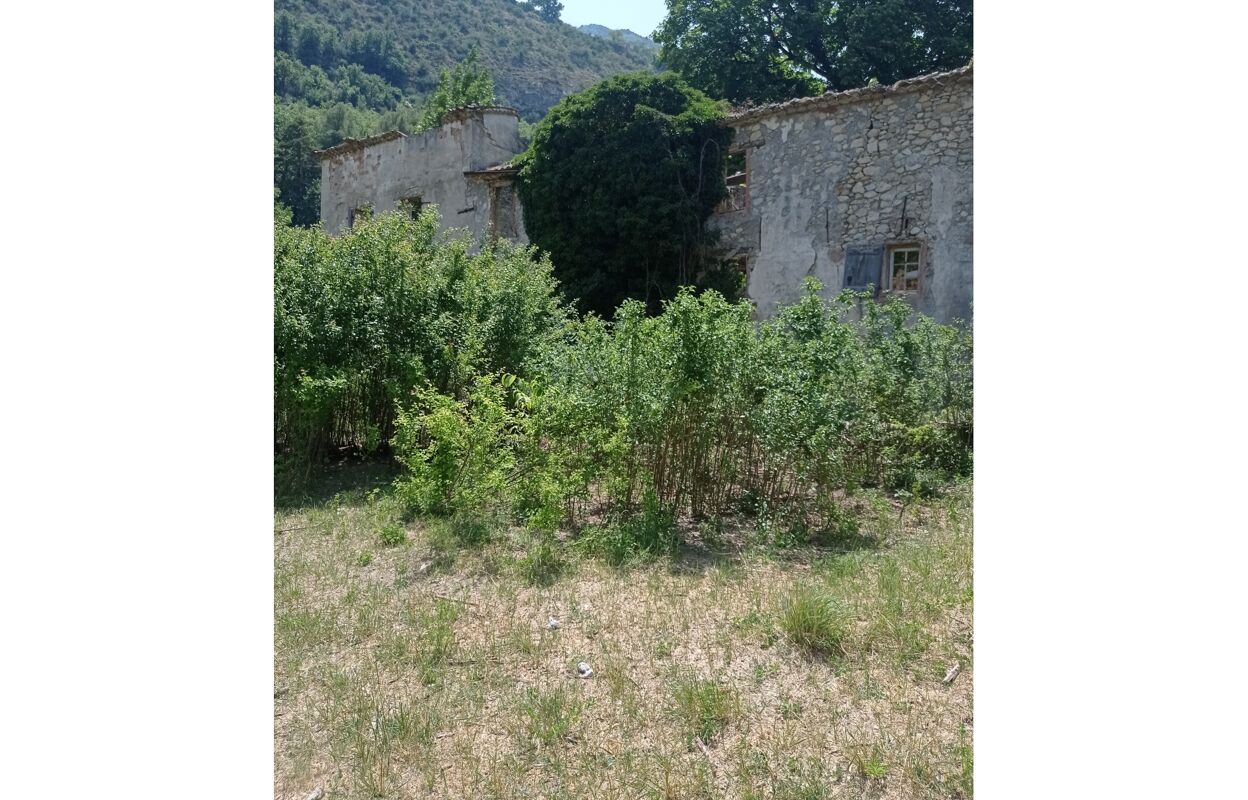 maison 1 pièces 250 m2 à vendre à Entrevaux (04320)