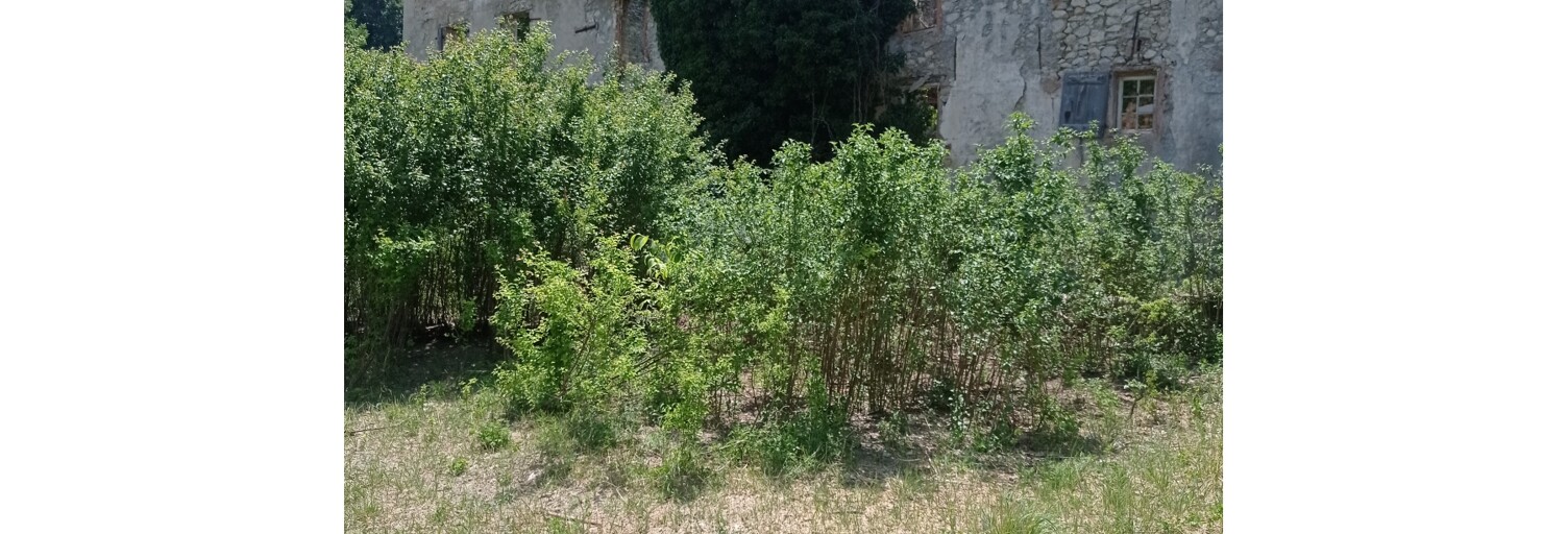 Maison 1 Pièce 250 m² à vendre à Entrevaux (04320)