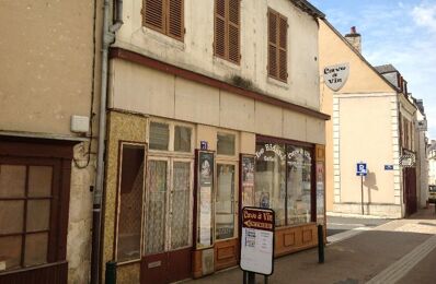 vente immeuble 74 200 € à proximité de Argenton-sur-Creuse (36200)