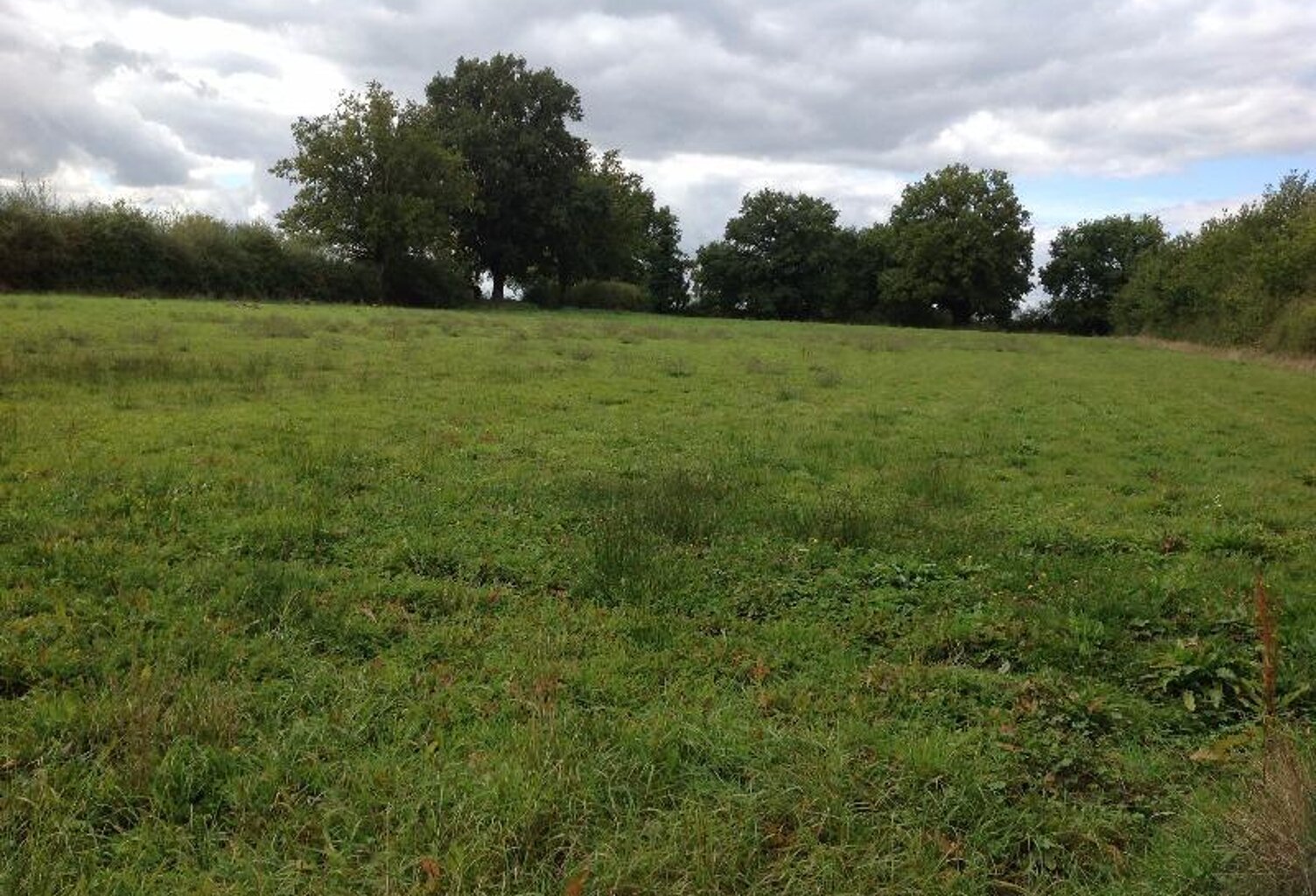 Vente terrain  9298 m² Chaillac (36310) — photo 1