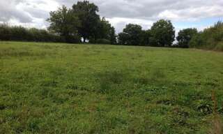 Terrain  9298 m² à vendre à Chaillac (36310)