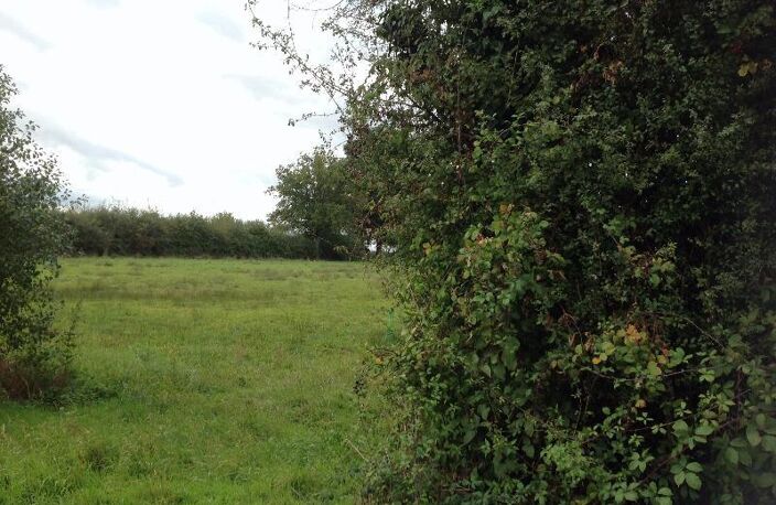 Vente terrain  9298 m² Chaillac (36310) — photo 2