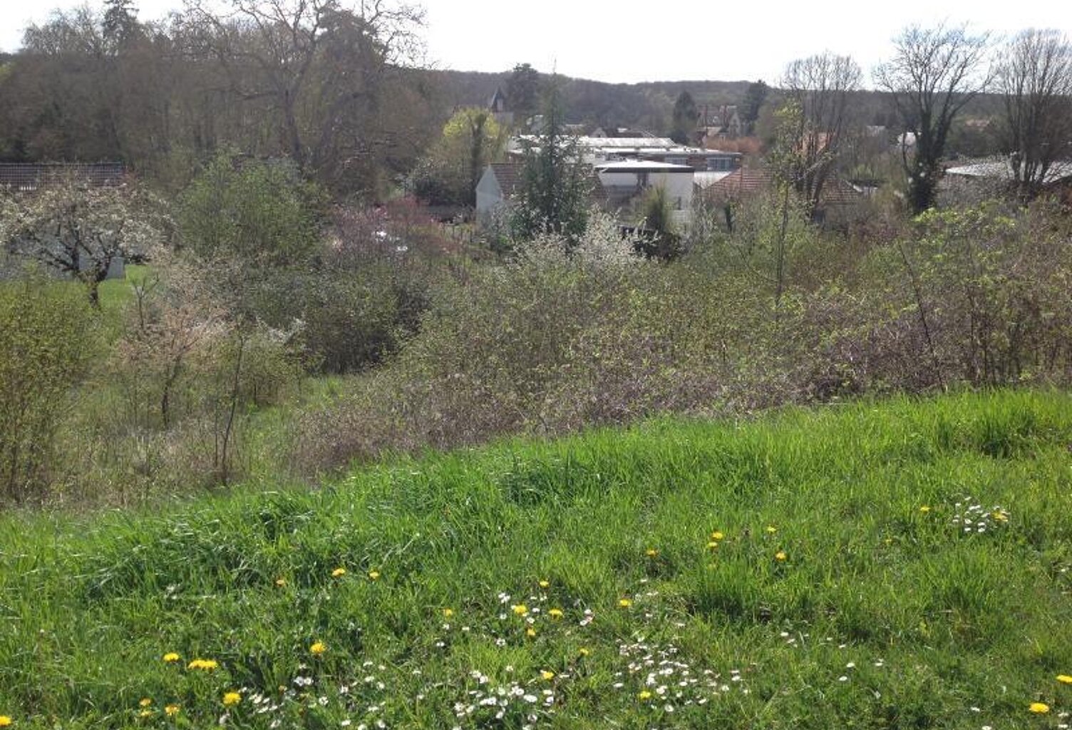 Vente terrain  860 m² Saint-Gaultier (36800) — photo 1