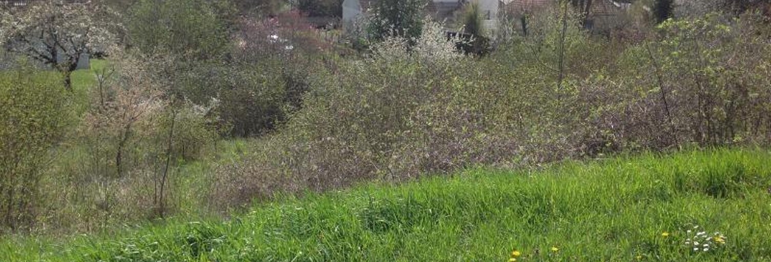 Terrain  860 m² à vendre à Saint-Gaultier (36800)