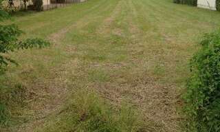 Terrain  1313 m² à vendre à Ciron (36300)