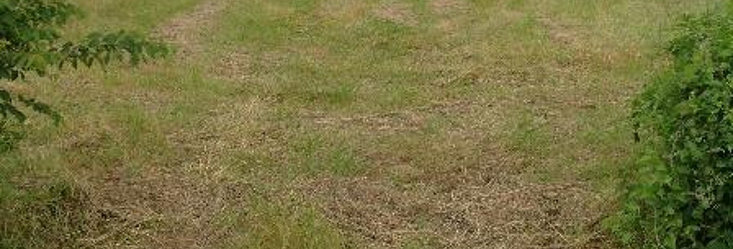 Terrain  1313 m² à vendre à Ciron (36300)