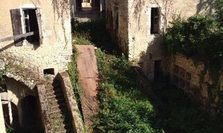 Photo N° 5