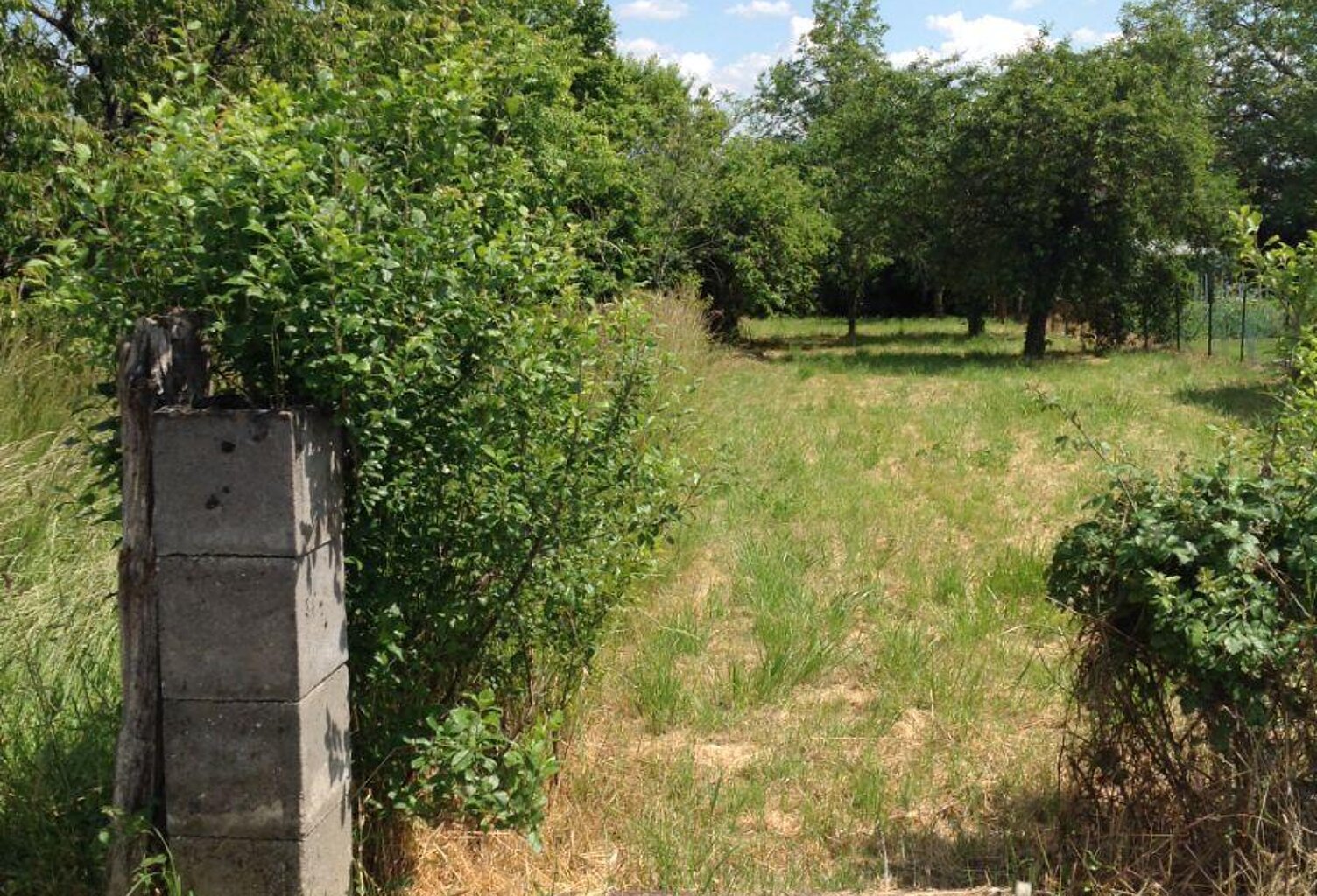 Vente terrain  1160 m² Chasseneuil (36800) — photo 1