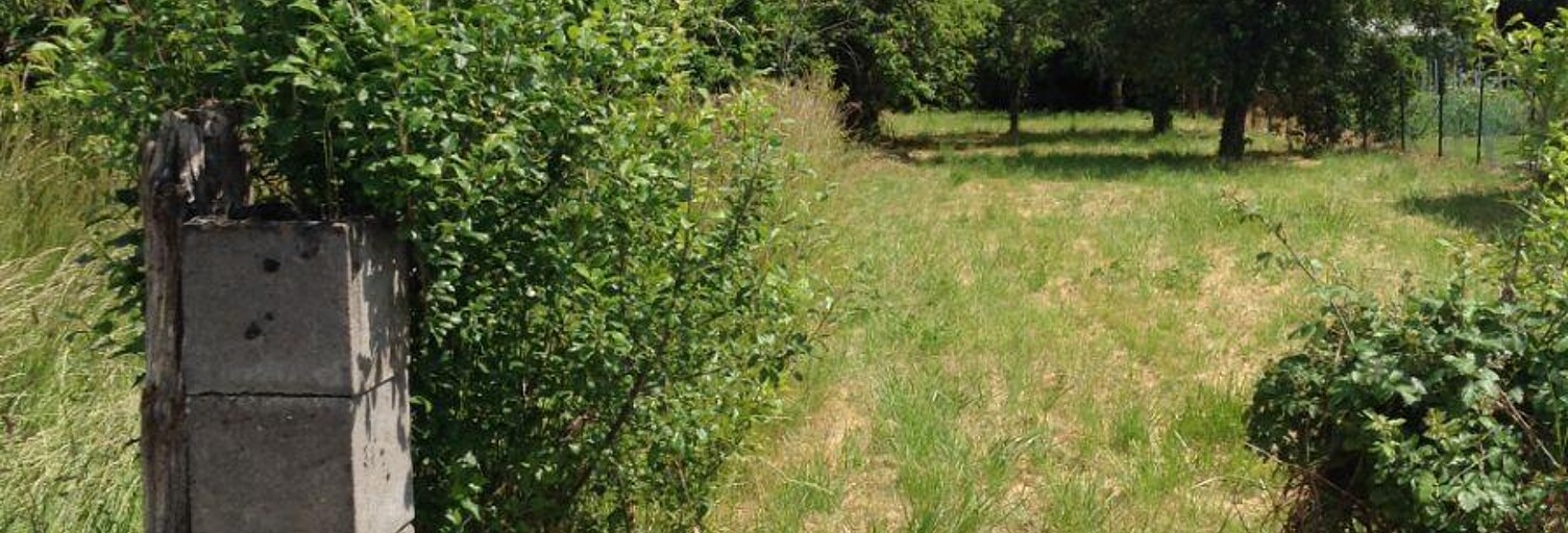 Terrain  1160 m² à vendre à Chasseneuil (36800)