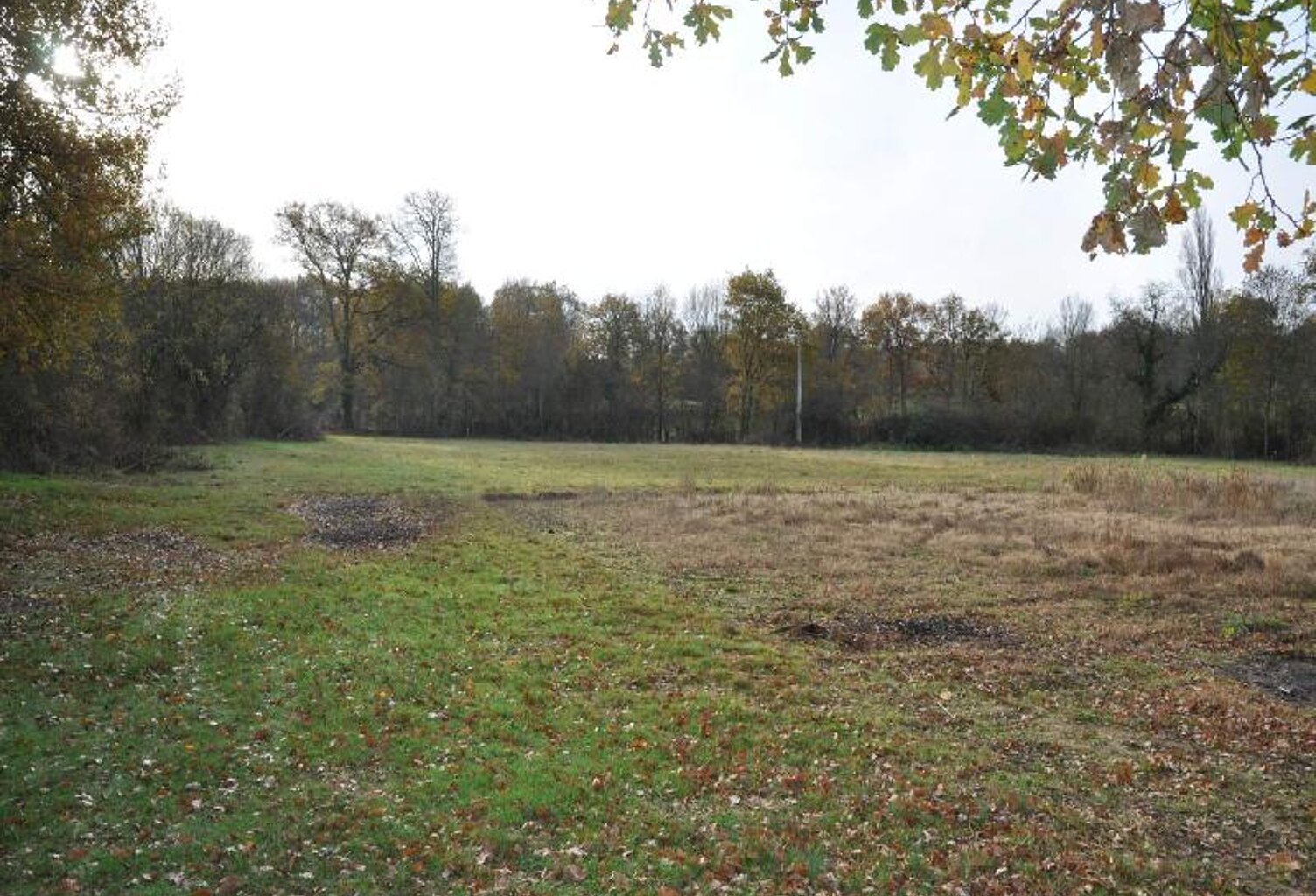Vente terrain  400 m² Ceaulmont (36200) — photo 1