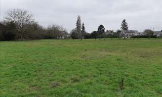 Terrain  6138 m² à vendre à Palluau-sur-Indre (36500)