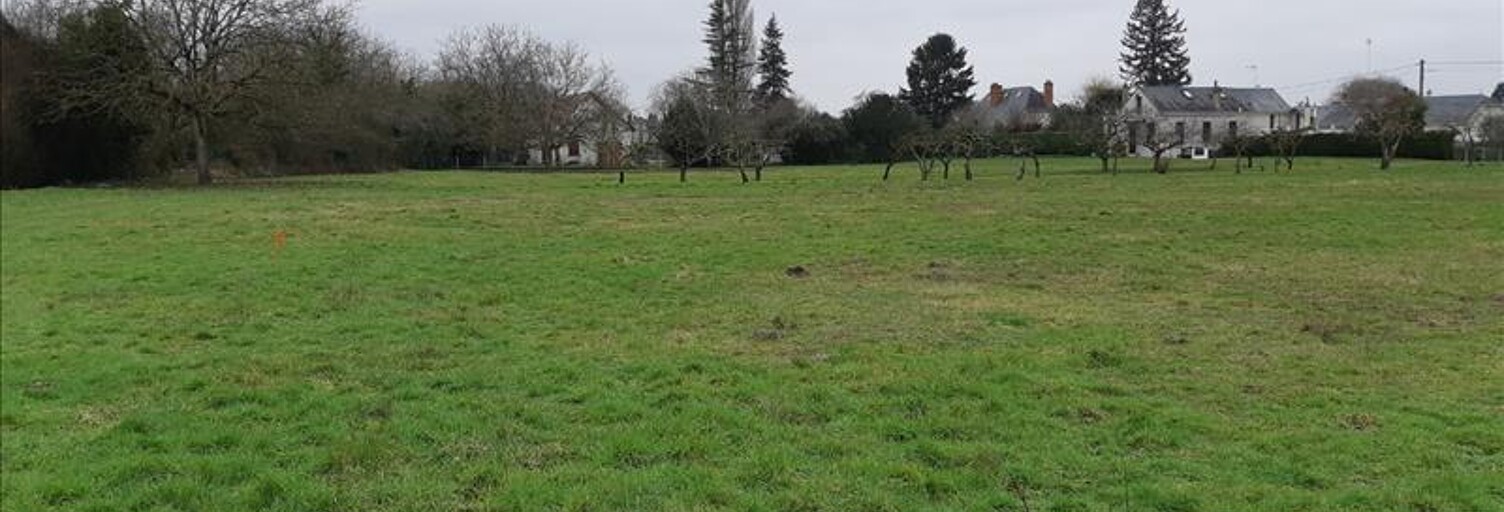 Terrain  6138 m² à vendre à Palluau-sur-Indre (36500)