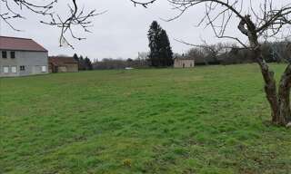 Terrain  6138 m² à vendre à Palluau-sur-Indre (36500)