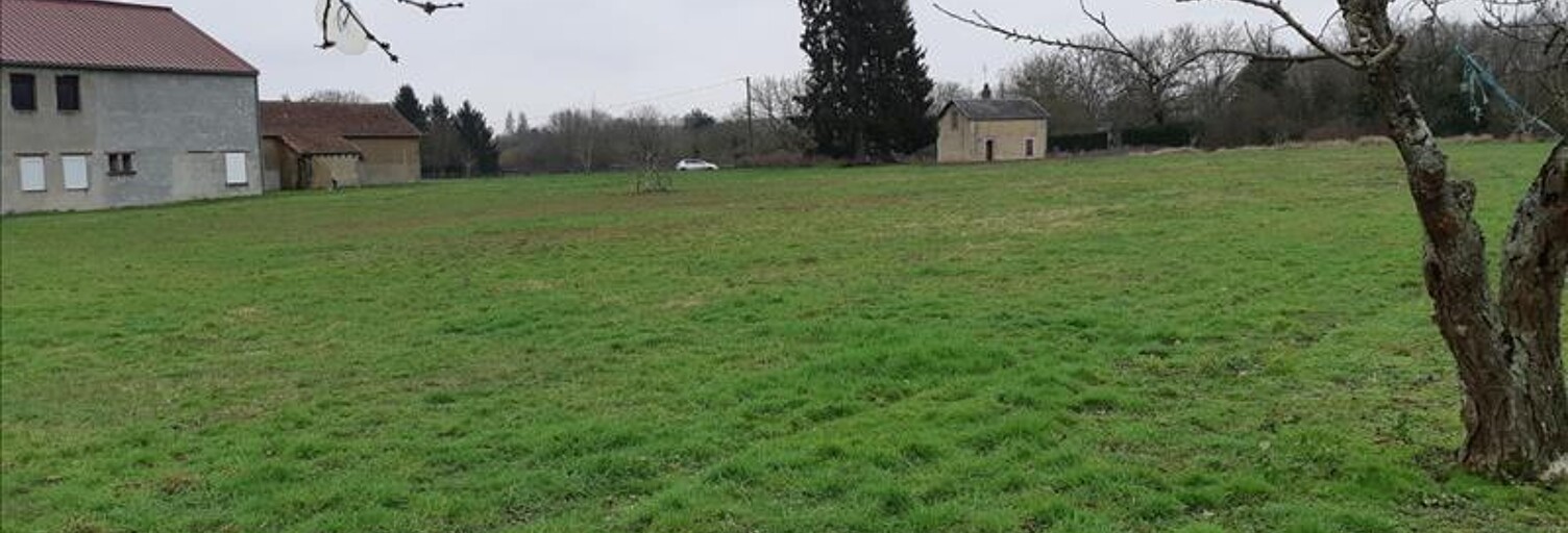 Terrain  6138 m² à vendre à Palluau-sur-Indre (36500)