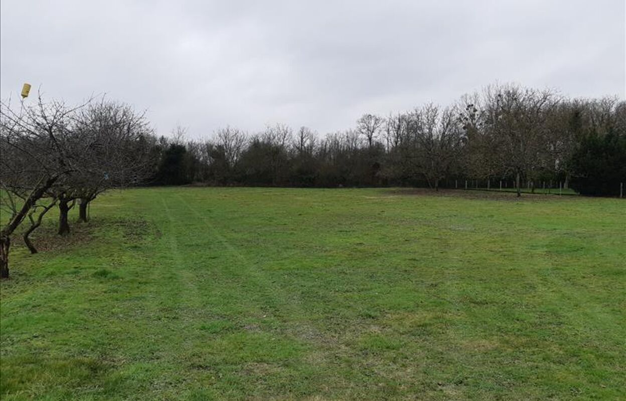 terrain  pièces 1474 m2 à vendre à Palluau-sur-Indre (36500)