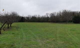 Terrain  1474 m² à vendre à Palluau-sur-Indre (36500)