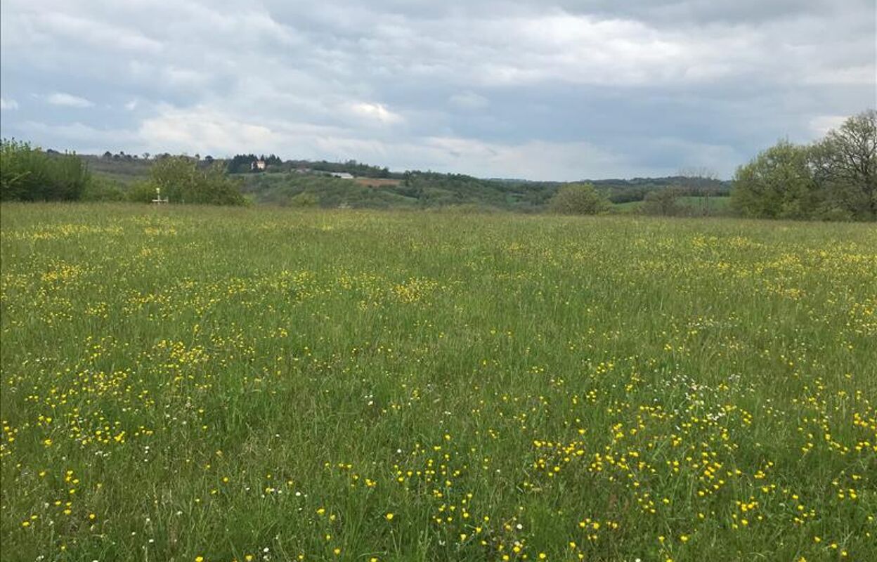 terrain  pièces 7035 m2 à vendre à Saint-Cirq-Souillaguet (46300)