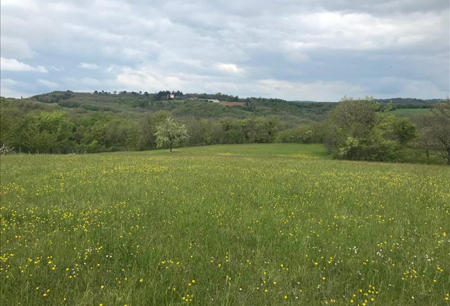 Terrain à bâtir de 0 pièces principales — photo 1