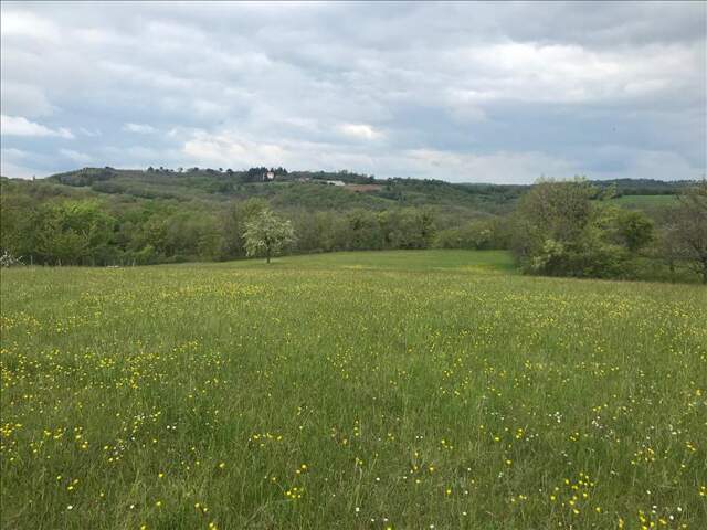 Terrain à bâtir de 0 pièces principales — photo du bien