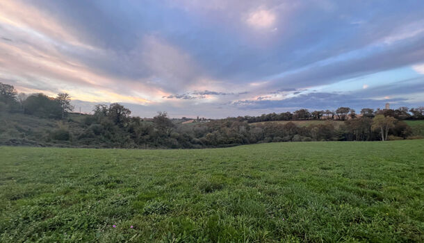 Terrain  à vendre Lucq-de-Béarn 64360