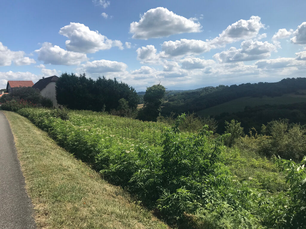 Terrain  à vendre Lagor 64150