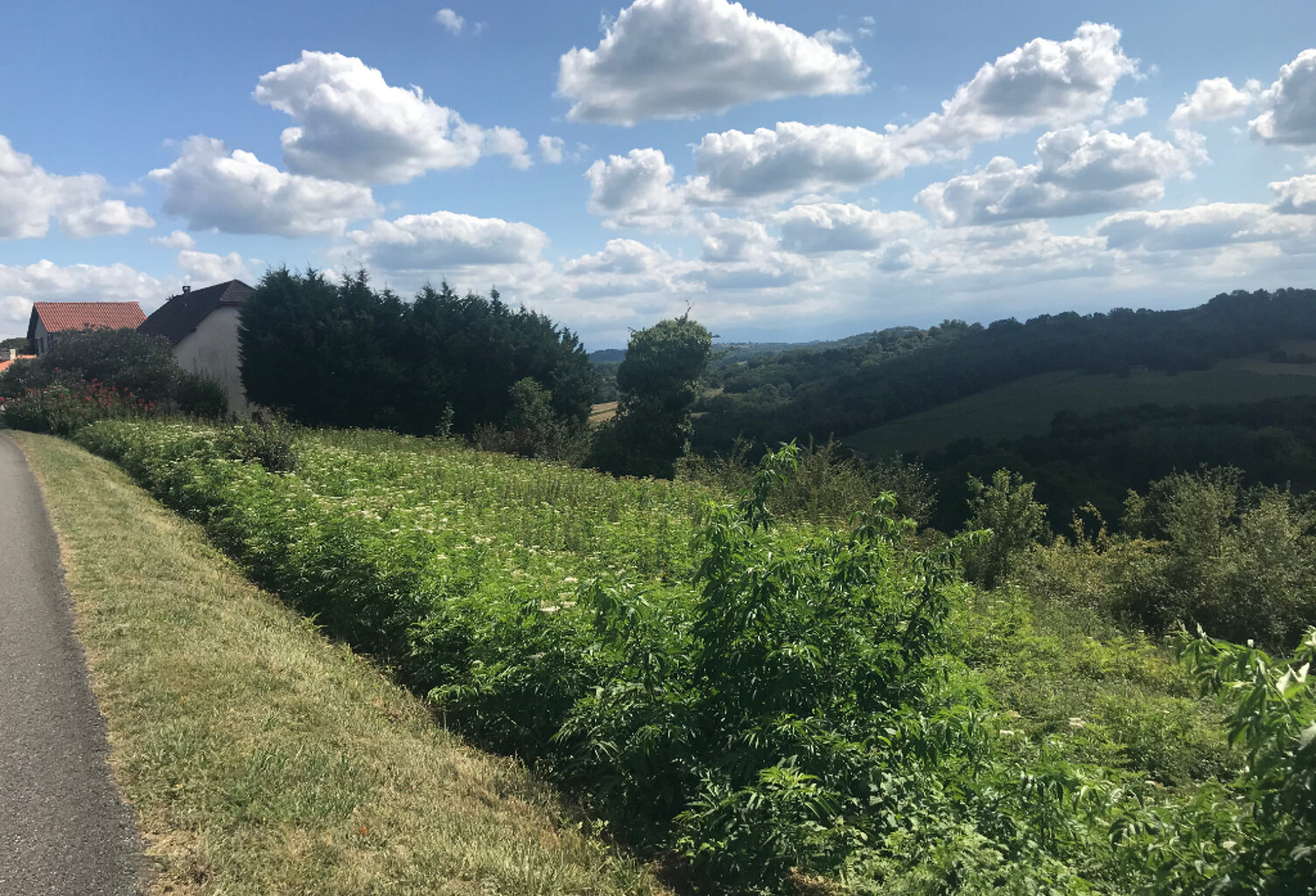 Terrain LAGOR — photo 1
