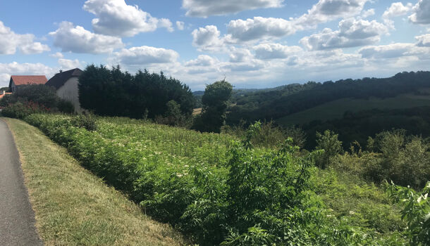 Terrain  à vendre Lagor 64150