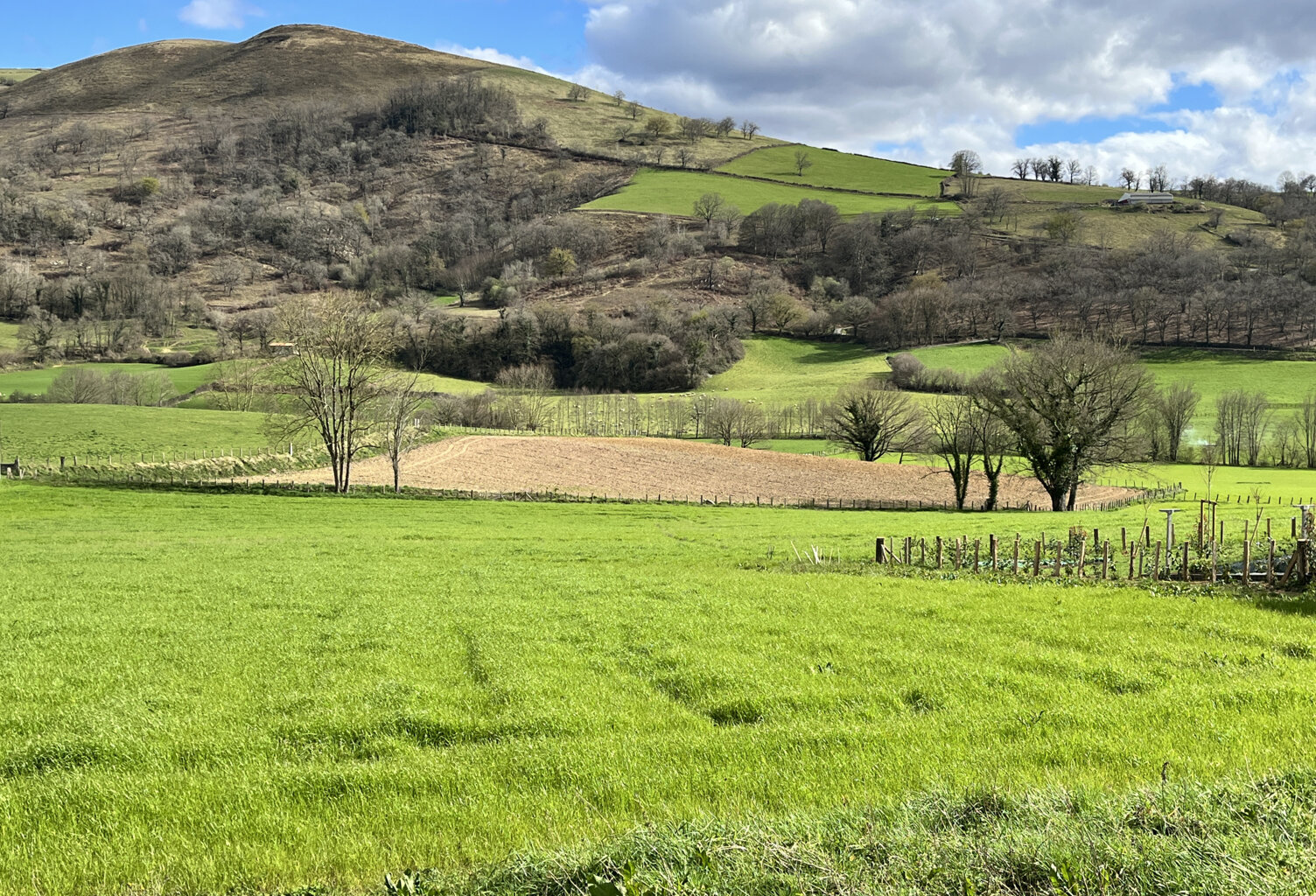 Terrain à bâtir de 1170 m2 — photo 1