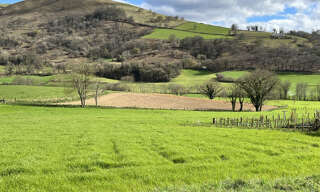 Terrain  1197 m² à vendre à Lacarre (64220)