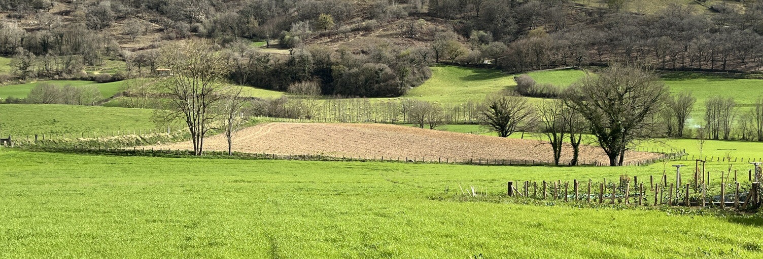 Terrain  1197 m² à vendre à Lacarre (64220)