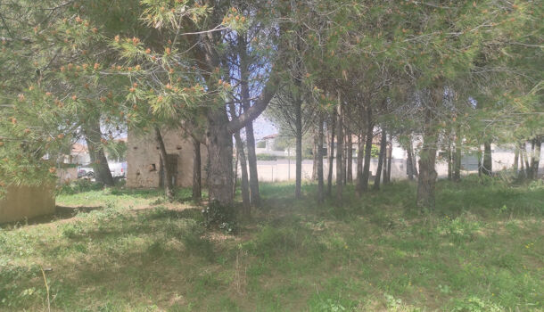 Terrain  à vendre Bouzigues 34140