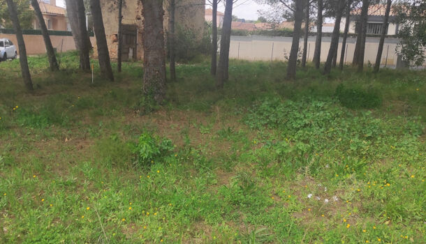 Terrain  à vendre Bouzigues 34140