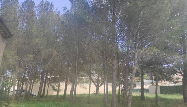 Terrain  à vendre Bouzigues 34140