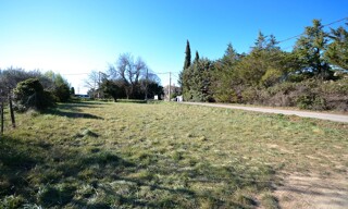 Photo N° 3