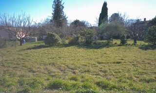 Photo N° 6